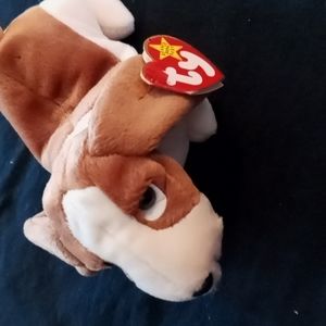 Rare Beanie Babies all for 300